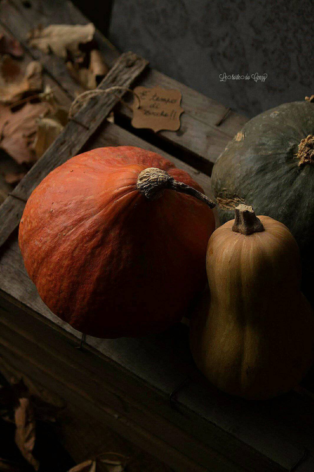 24992801_10213021313519619_1703090861_o