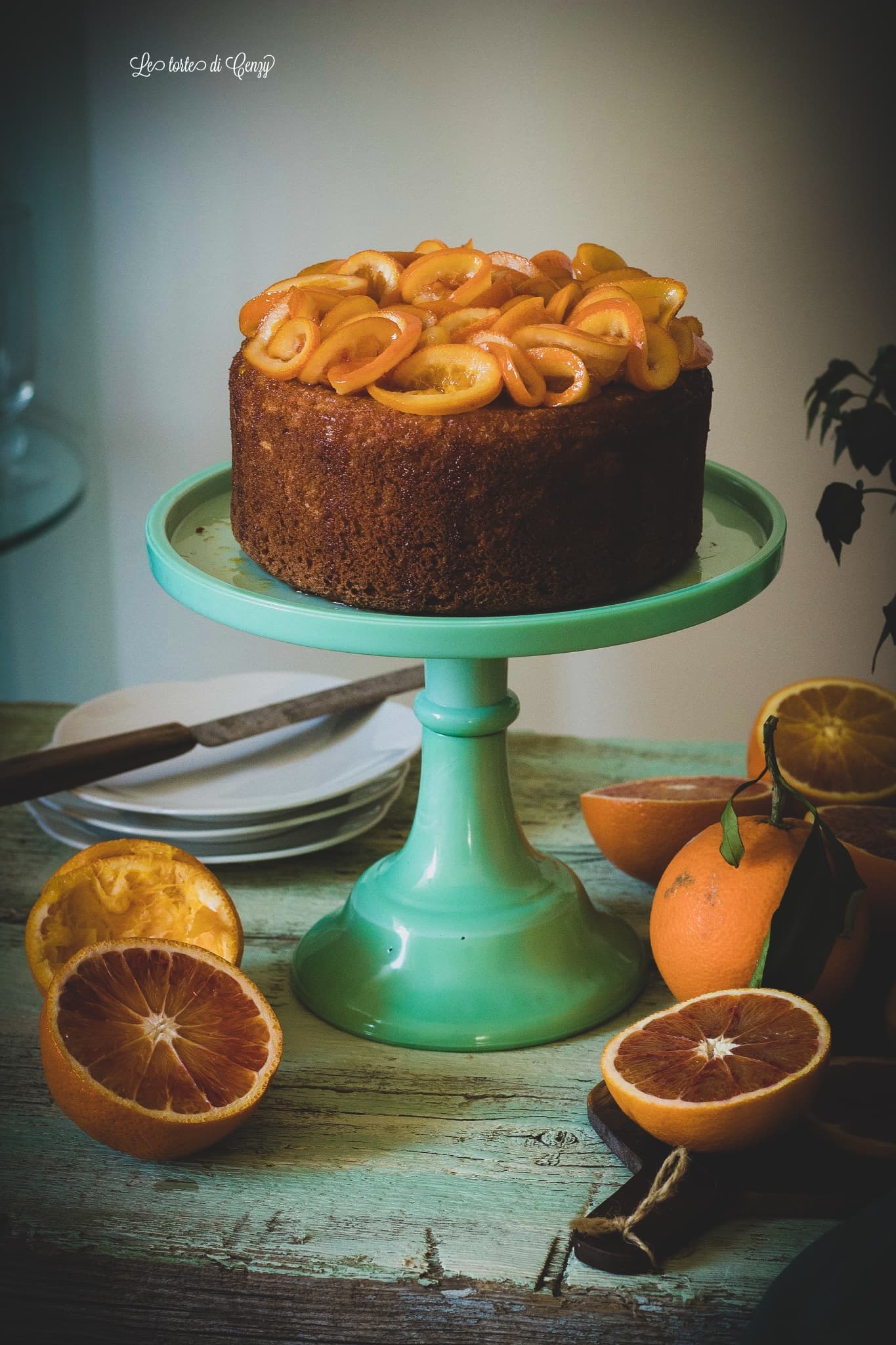 51357615_855364914807831_871723875409330176_n(3)